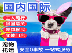 广元盘龙空运国际宠物托运 【国